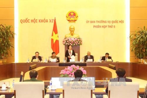 Der ständige Parlamentsausschuss eröffnet seine 5. Sitzung - ảnh 1